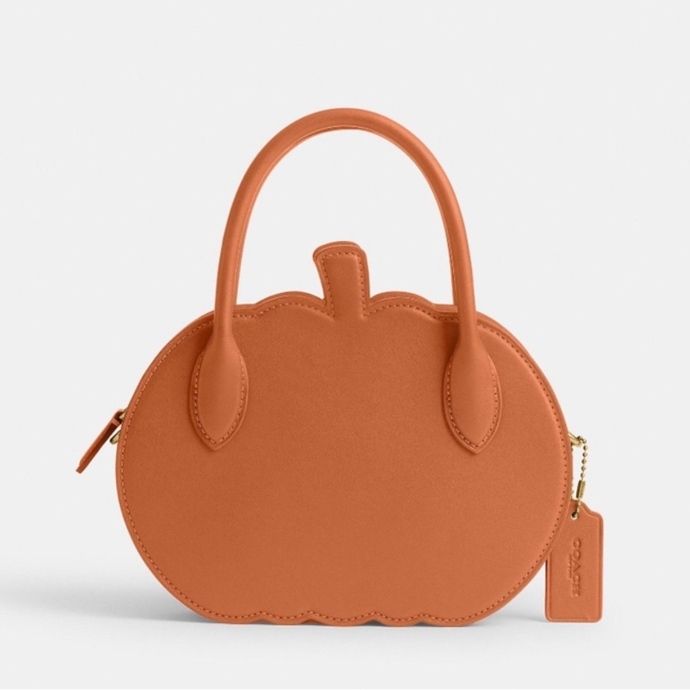 Coach Pumpkin Bag